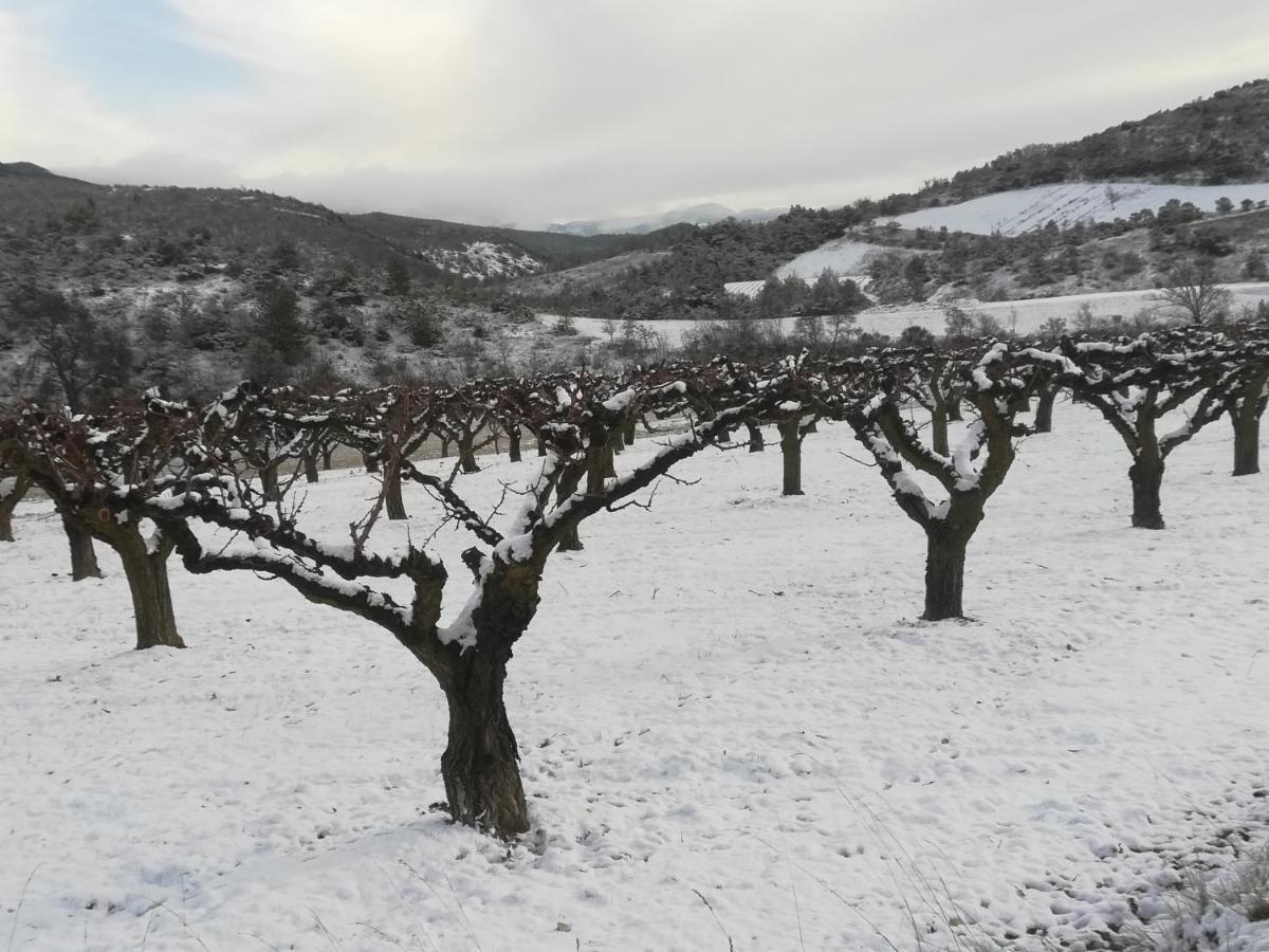 Vila Pie Des Ayrolis Eyroles Exteriér fotografie